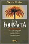 La equinacea: un estimulante natural del sistema inmunitario