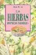 Las hierbas imprescindibles