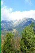 Rutas por la sierra de guadarrama (col. descubre tus ca&ntilde;adas n&ordm; 1 6)