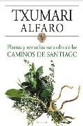 Plantas y remedios naturales de los caminos de santiago