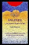 Angeles: una puerta hacia la luz. una forma sencilla de conocerlo s, sentirlos y conectar con ellos