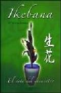 Ikebana: el arte del encuentro