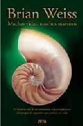 Muchas vidas, muchos maestros 