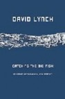 Catching the big fish: meditation, consciousness, and creativity