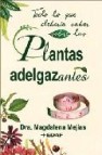 Todo lo que deberia saber sobre las plantas adelgazantes