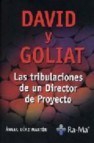 David y goliat: las tribulaciones de un director de proyecto