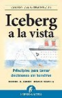 Iceberg a la vista: principios para tomar decisiones sin hundirse