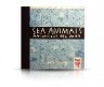 Sea animals = animales del mar (ed. bilingãœe ingles-espaã‘ol) (two little libros)